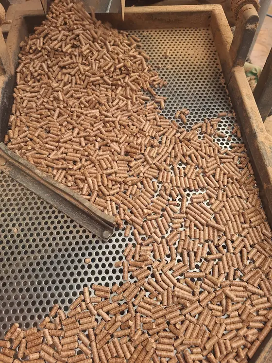Svježe prešani peleti na situ linije za peletiranje